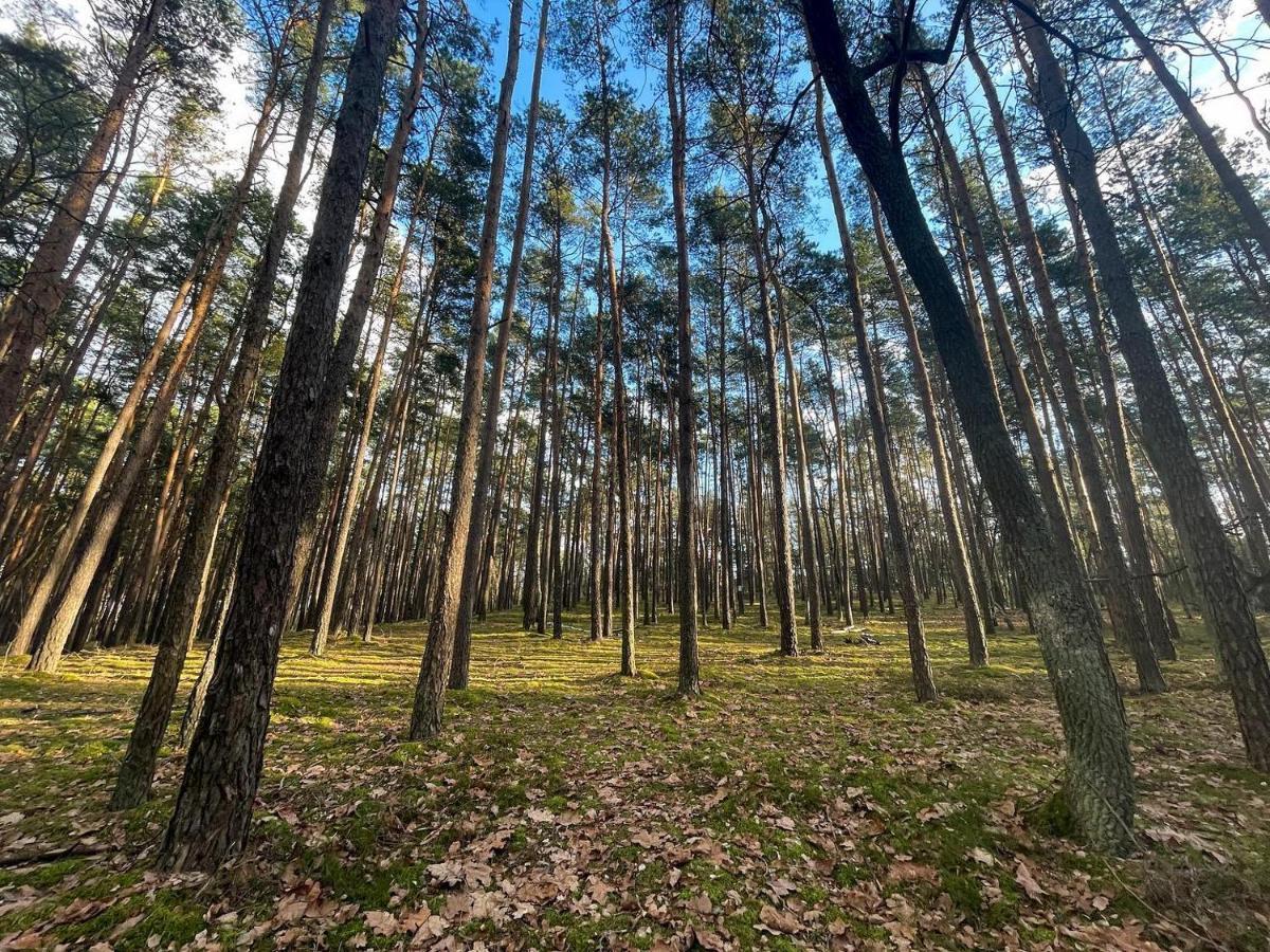 Park Rekreacyjno-Biznesowy Las Woda Wilga Exterior photo
